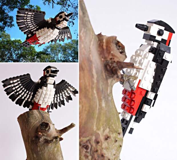 том пулсом скульптуры птиц из конструктора LEGO (3)
