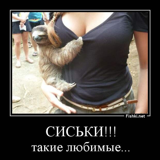 Демотиваторы демотиваторы, прикол, смех, юмор