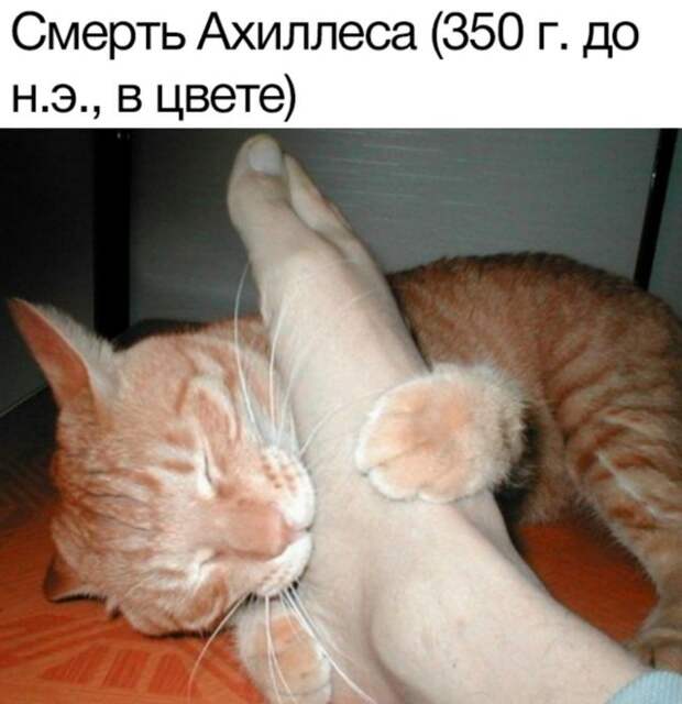 Смешные фото вечер 15 декабря 2020
