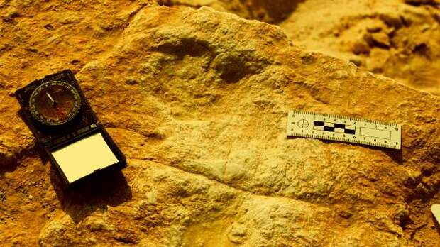 120000-летние человеческие следы, найденные в Саудовской Аравии, позволяют заглянуть в прошлое человечества
