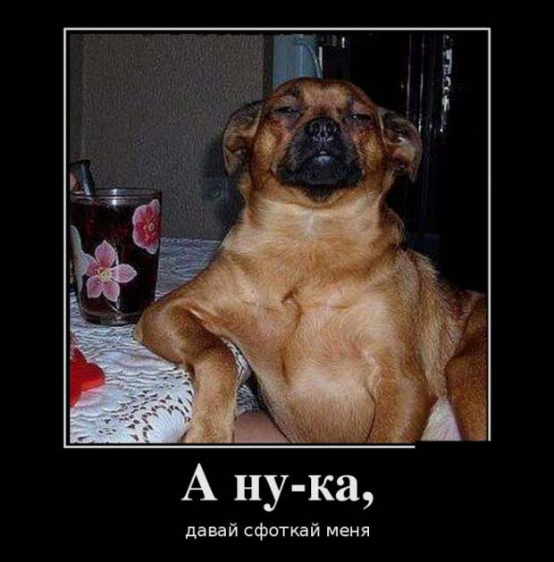 Демотиваторы (30 фото)