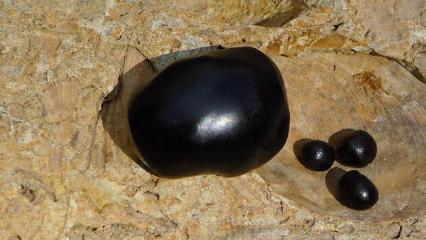 shilajit2