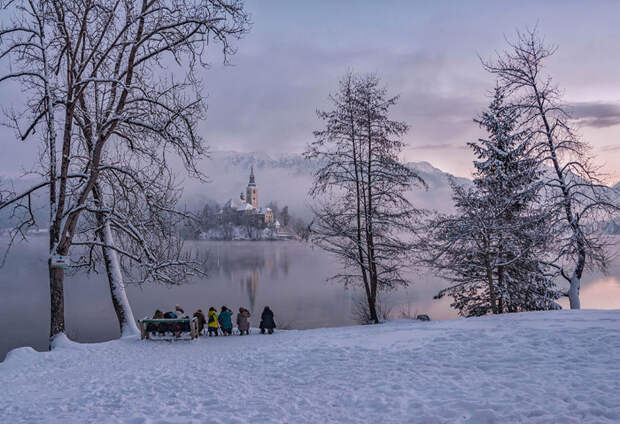 Не только Кривец фотографирует церковь бледское озеро, зима, озеро, словения