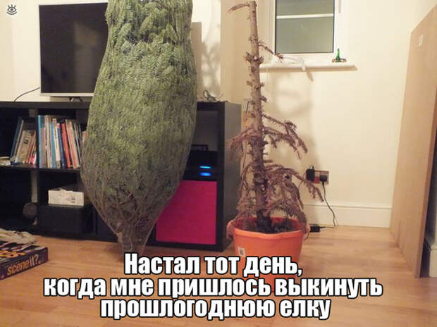 Смешнульки и приколюхи 24