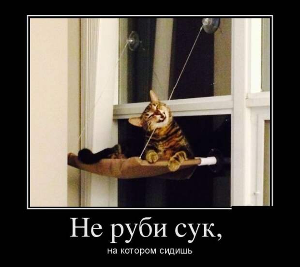 Демотиваторы демотиваторы, картинки, приколы