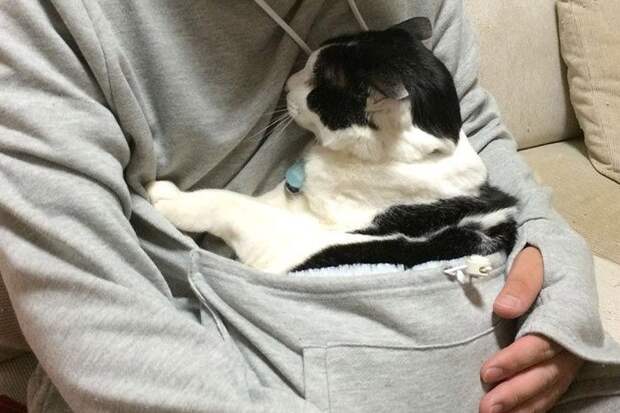Толстовка с карманом для кошки, Mewgaroo, Unihabitat