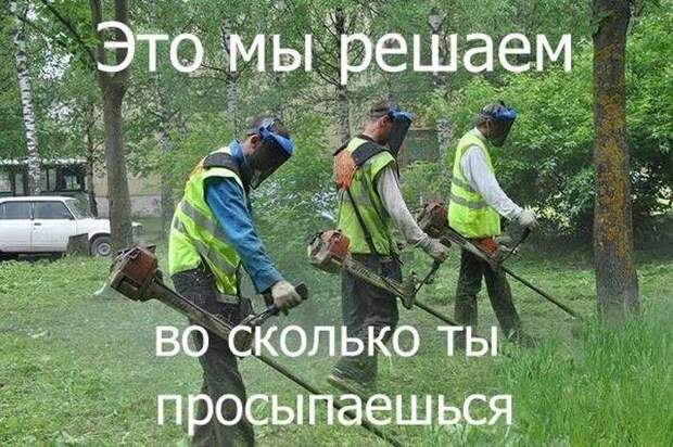 Подборка приколов дня - весёлые картинки