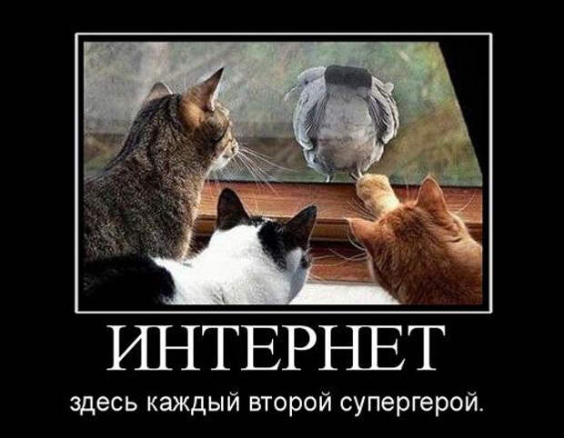 Демотиваторы Демотиваторы