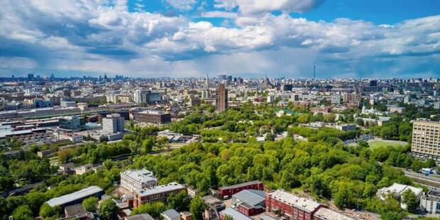 Сергунина: В Москве расширили поддержку организаций сферы искусства