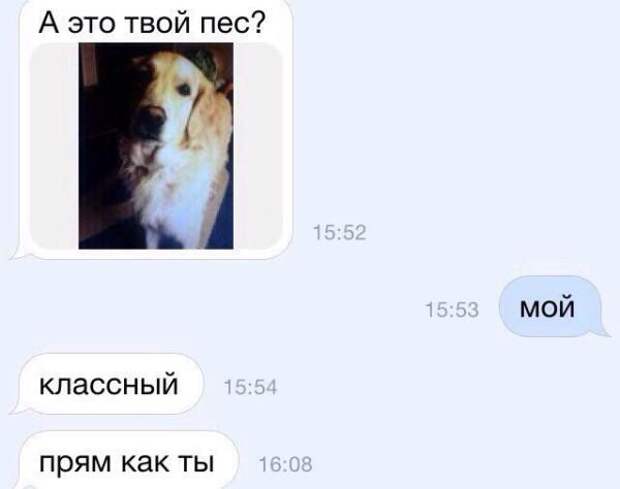 Ищу лысую или волосатую! Хиты брачных объявлений! (30 фото) Ищу лысую или волосатую! Хиты брачных объявлений! (30 фото)