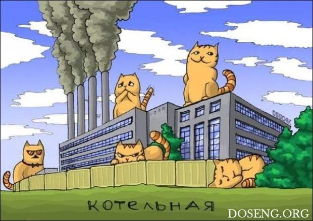 Комиксы и карикатуры