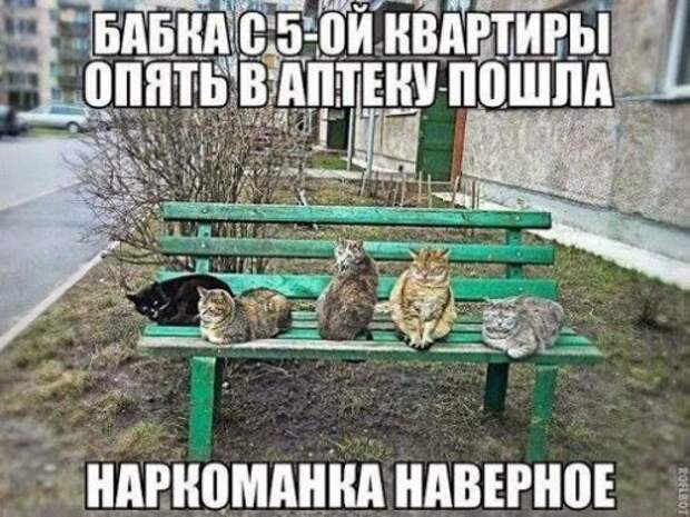 Прикольных картинок много не бывает (33 шт)