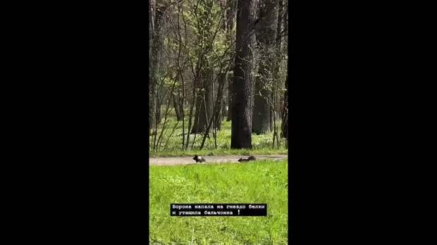 Video: Видео от Донецкая группа новостей|Донецк.ДНР