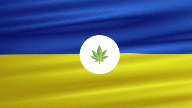 Власти Украины выступили за легализацию марихуаны в стране