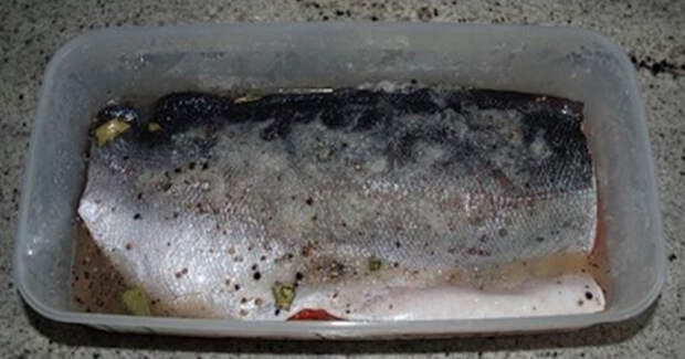 Рыбу, приготовленную таким способом, можно кушать уже через 2 часа.