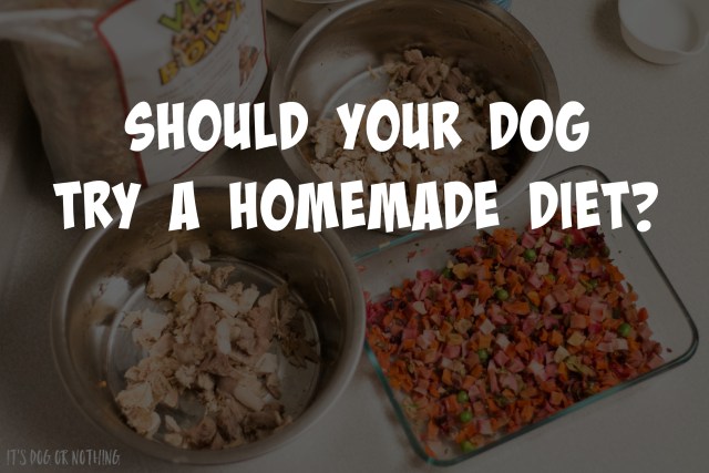 There are several reasons for wanting to switch your dog to a homemade diet. Do you think your dog would benefit from a homemade diet? Click through to read the rest.