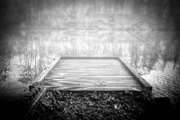 ФОТОГРАФ MIKE SHAW 31