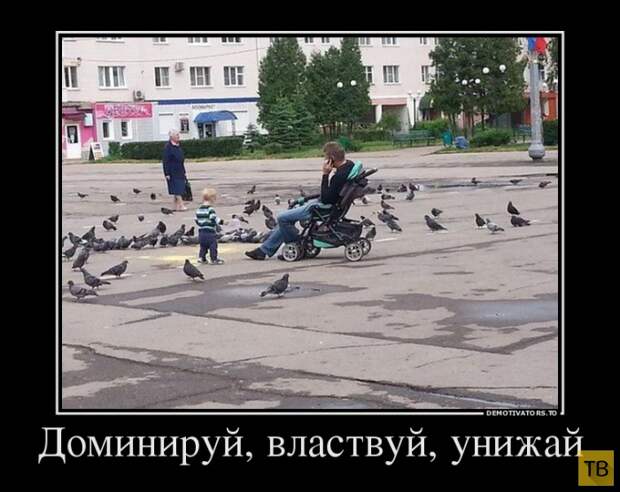 Демотиваторы от 19.05.2015 (43 фото)