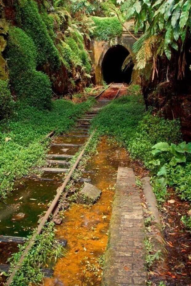 Невероятные тоннели - страшные и опасные. Вы только посмотрите на это! интересное, красота, тоннели, удивительное, факты