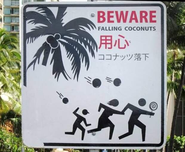 Знак 'Берегись падающих кокосов'