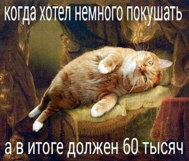 Картинки и фото с приколами (45 шт)