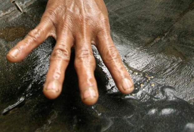 Золото (37 фото) Золото (37 фото)