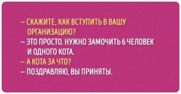 Прикольные открытки обо всём понемногу (19 шт)