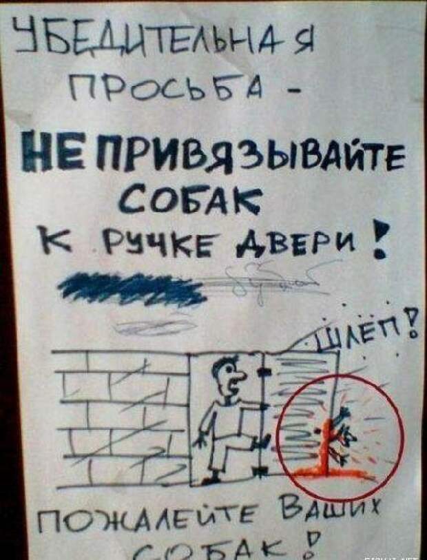 Пост юмора прикол, юмор