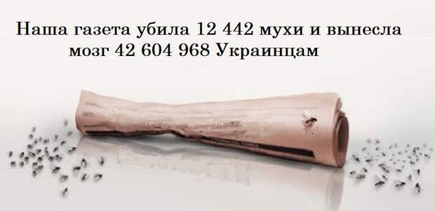 67074_900.jpg