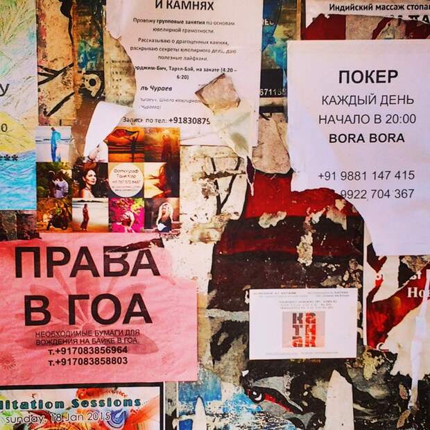 Отдых в Индии. ГОА гоа, отдых в Индии