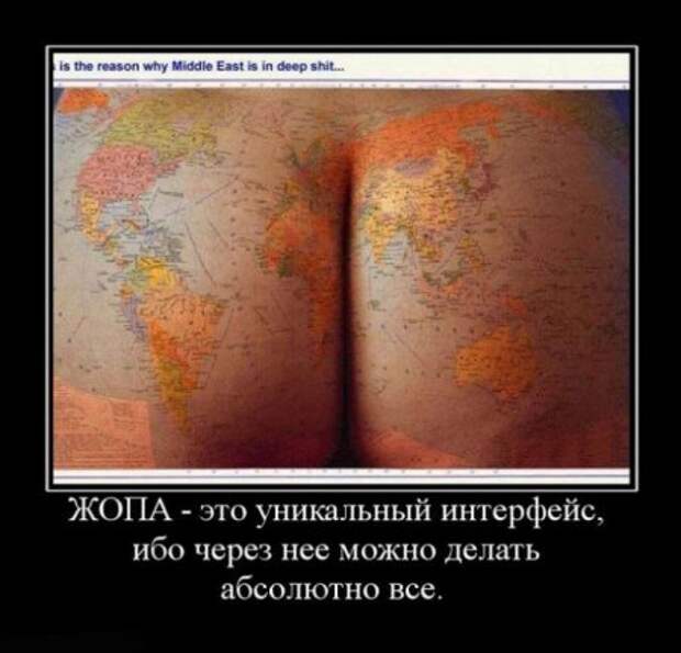 Много разных приколов в демотиваторах.