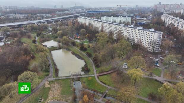 В Покровском парке обновят пруды