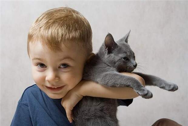 http://kinderinfo.ru/wp-content/uploads/boy-and-cat.jpg