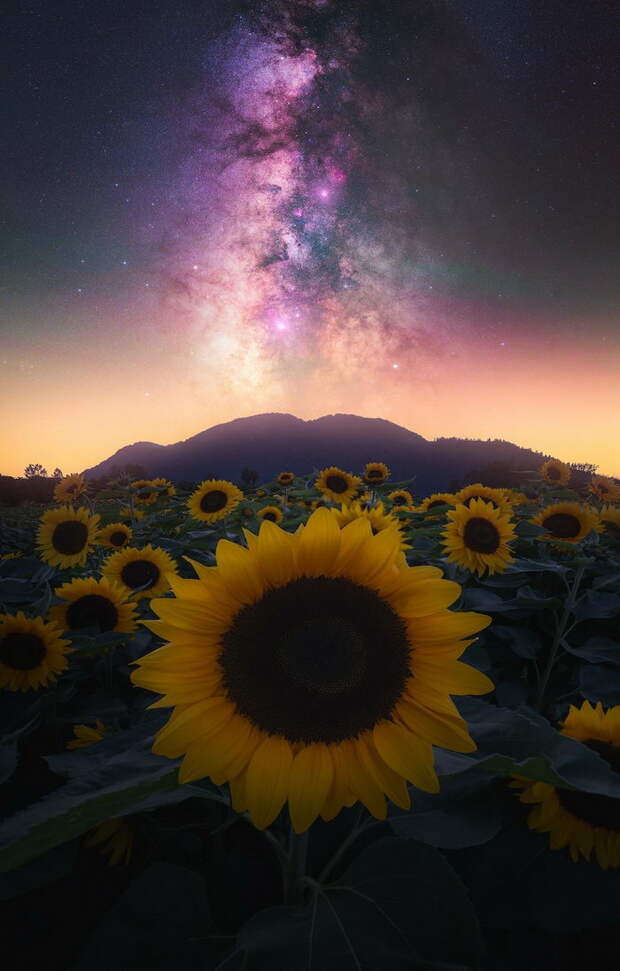 Красота звездного неба в снимках Daniel Greenwood Красота звездного неба в снимках Daniel Greenwood