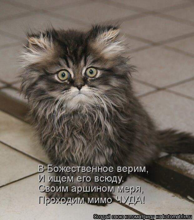 Мысли вслух :)