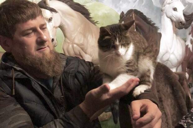 Кадыров рассказал, почему приютил слепого кота: он не заискивал, не пытался вызвать жалость
