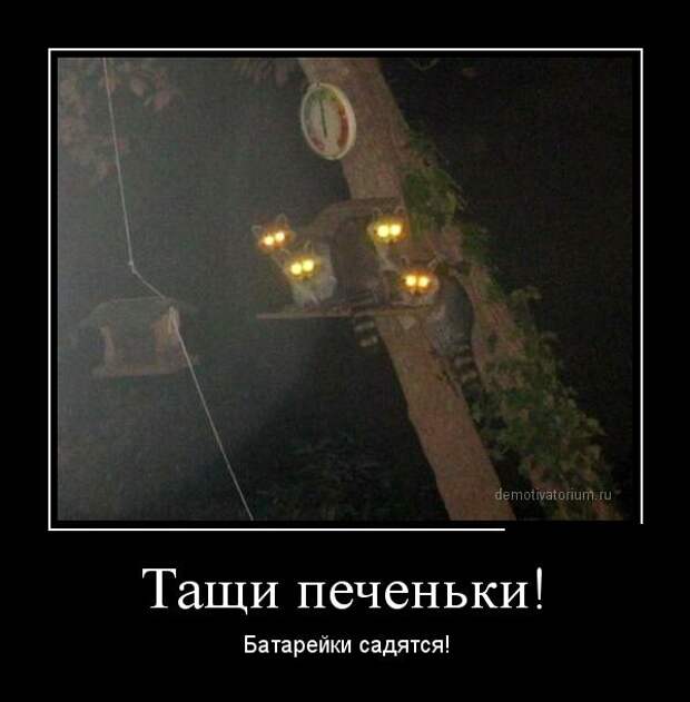 Демотиваторы демотиваторы
