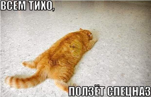 Мысли вслух Мысли вслух