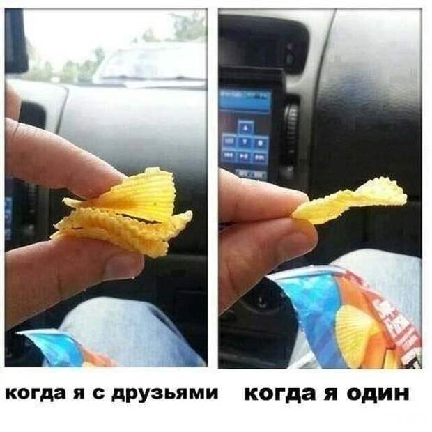 Смешные картинки с подписями картинки, прикол, юмор