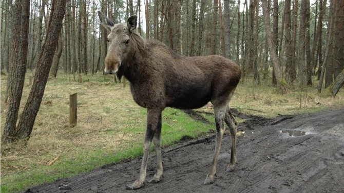 10 национальных парков и заповедников России, которые нужно посетить