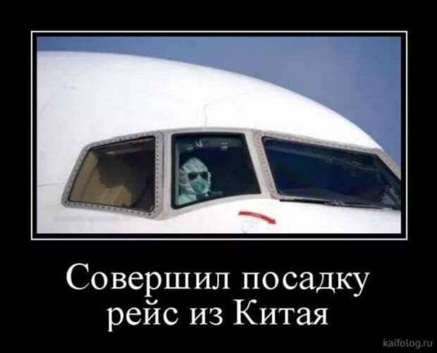 Демотиваторы про коронавирус с надписями. Подборка chert-poberi-dem-koronavirus-chert-poberi-dem-koronavirus-37330614122020-14 картинка chert-poberi-dem-koronavirus-37330614122020-14