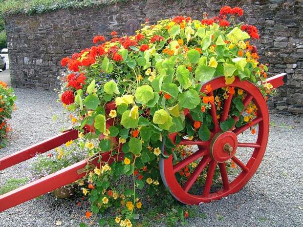 Цветы в бричке!