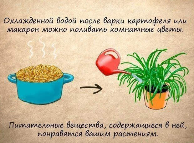 Полезные советы 1