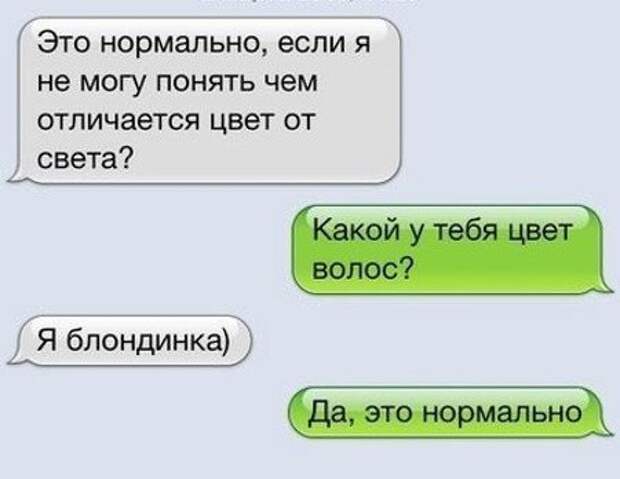 Когда точно знаешь, что это норма Когда точно знаешь, что это норма блонди, блондинка, блондинки, мозговынос, прикол, стереотипы, юмор