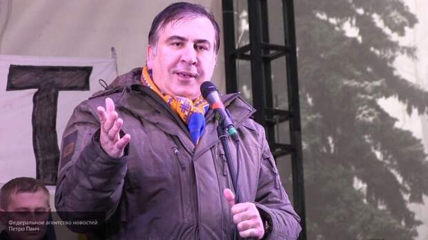 Реформы Саакашвили приведут к распродаже активов страны и «финансовому рабству»