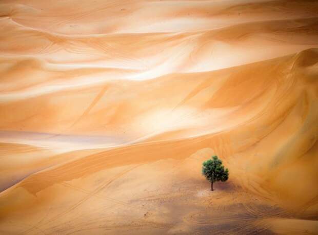 лучшие фото National Geographic 2015 года