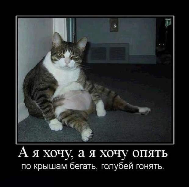 Демотиваторы демотиваторы, юмор