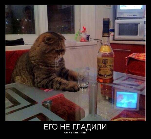 Демотиваторы демотиваторы