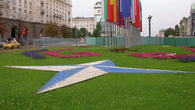 Эмблема и флаги стран-членов НАТО в Софии, Болгария. Архивное фото