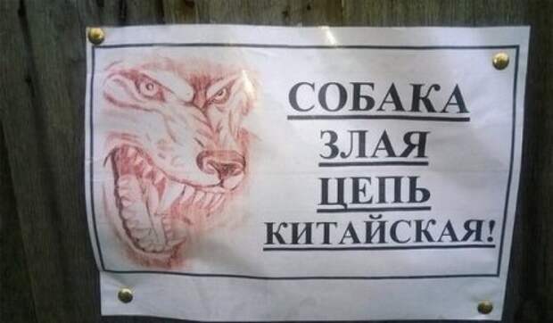 Новые фото приколы, позитивные факты.